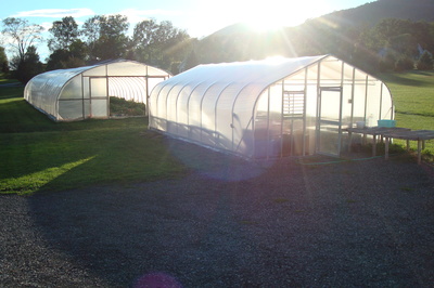 greenhouses