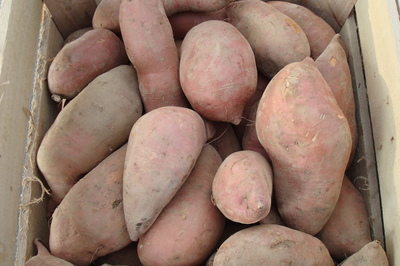 Sweet Potatoes