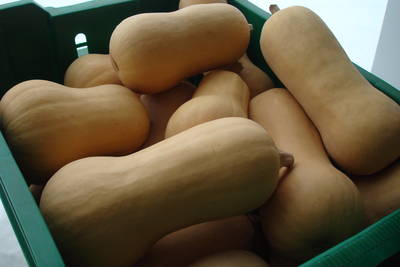 butternut