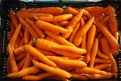 carrots