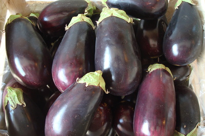 eggplant