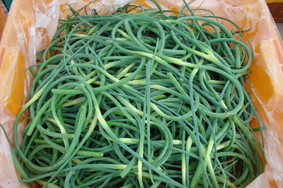 garlic scapes