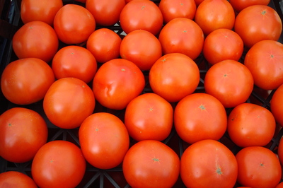 tomatoes