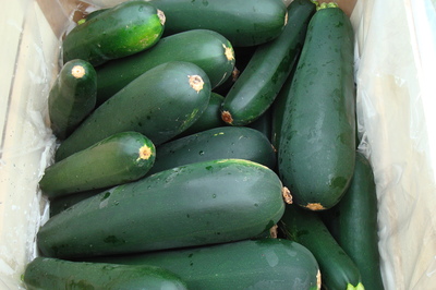 zucchini