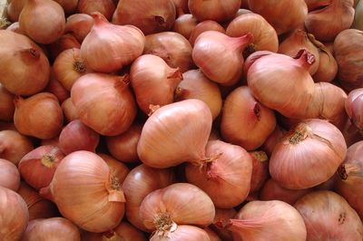 shallots