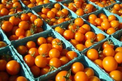 Sun Gold Cherry Tomatoes